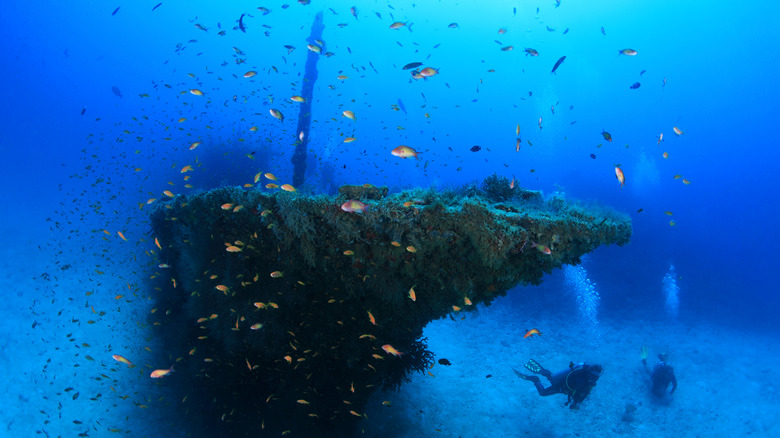 Underwater shipwreck with divers