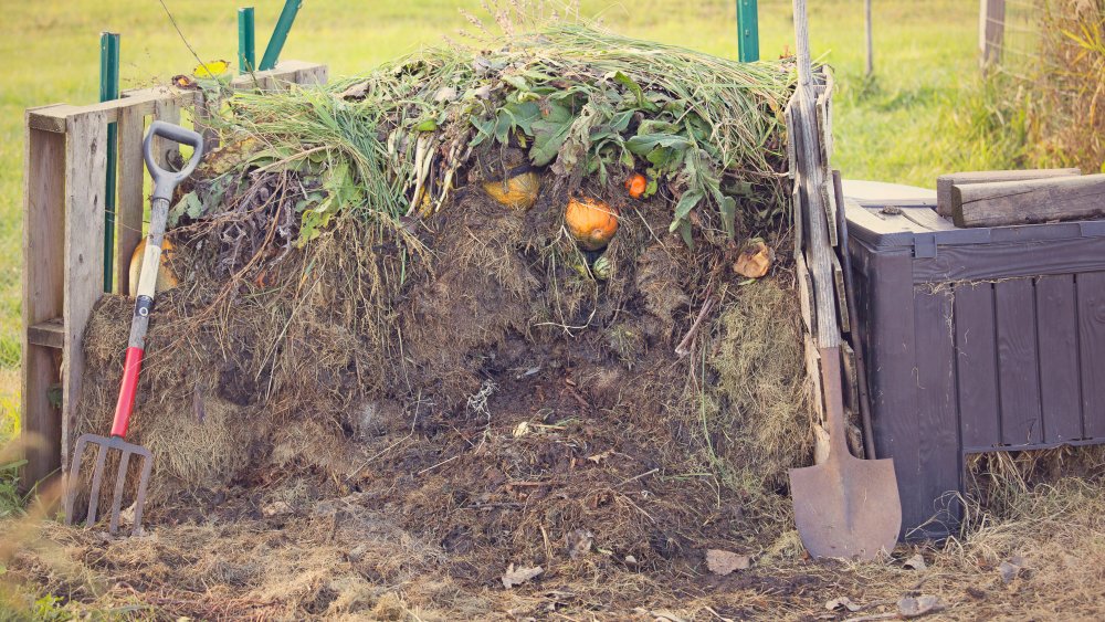 compost pile