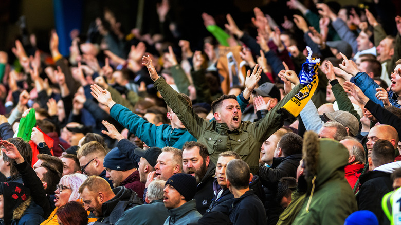 fans at Premier League soccer game