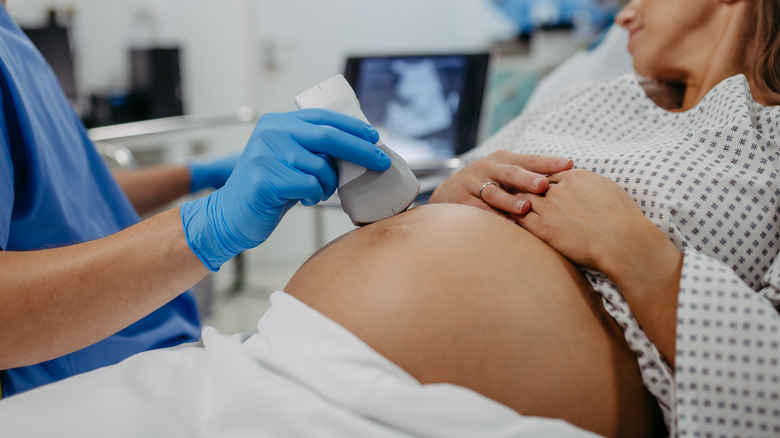 Pregnant woman ultrasound examination