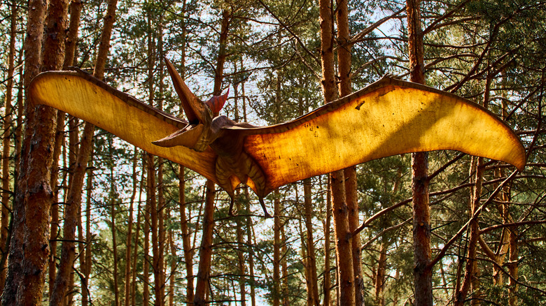 pteradon model forest