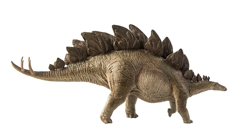 stegosaurus profile white background