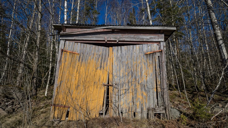 Run down shed in the woods