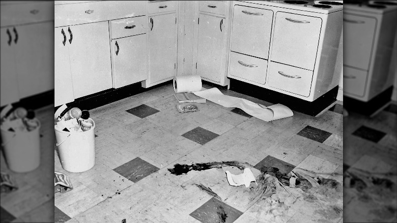 Joan Risch bloody kitchen