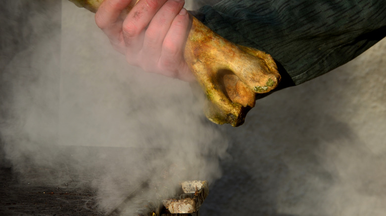 hand holding a bone over steam