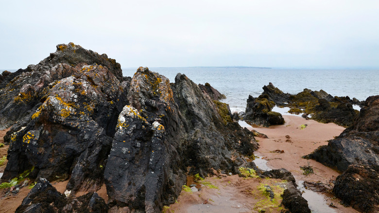 beach at rosemarkie scotland