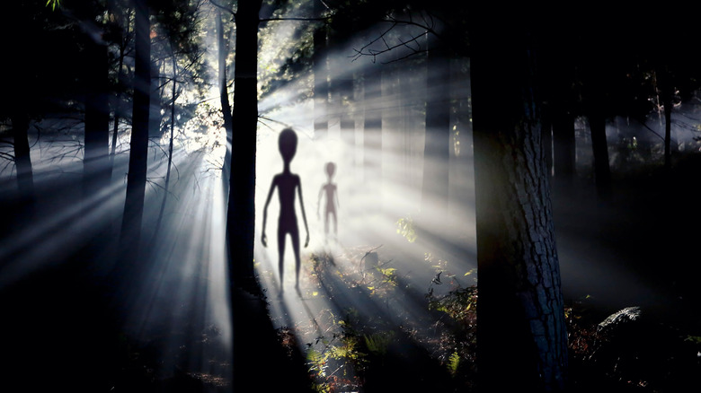 Alien figures in forest at night