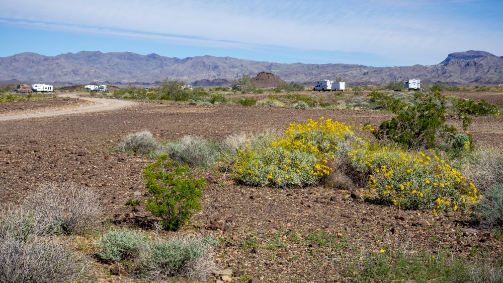 BLM camping near Earp California