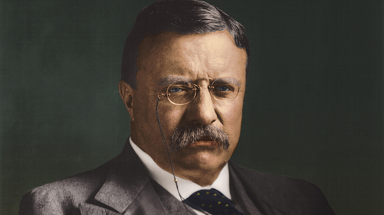 teddy roosevelt presidential portrait painted