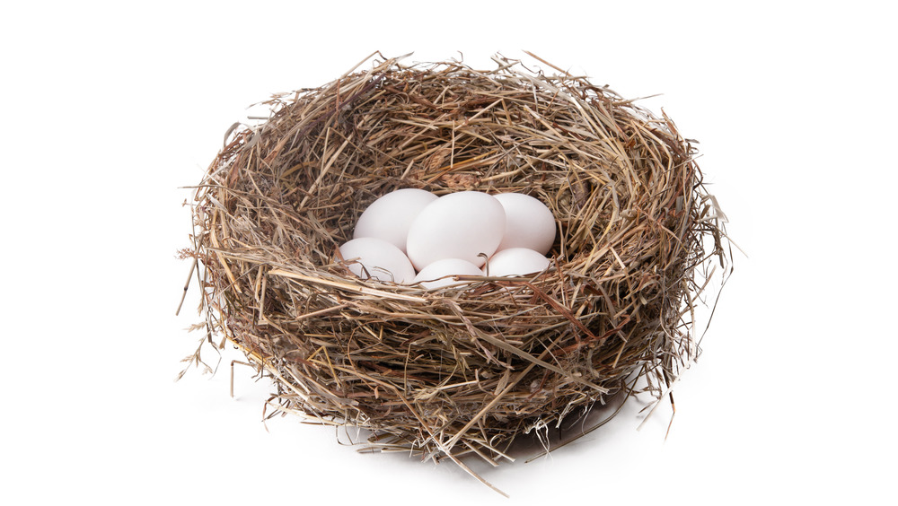 Eggs in a nest