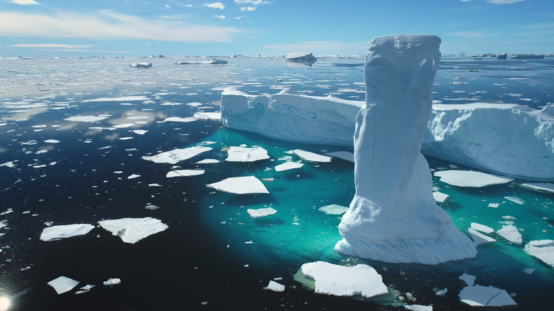 arctic ice field