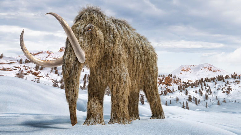 Woolly mammoth and landscape