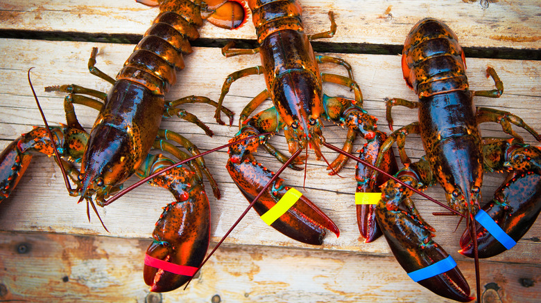 lobsters on a table