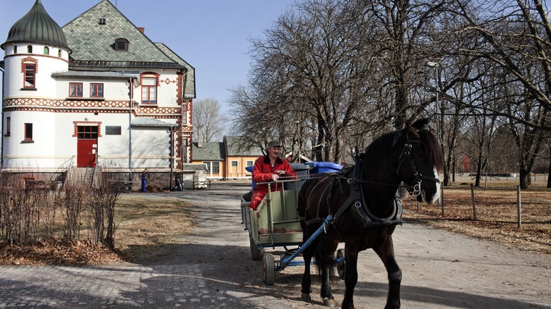 Inmate riding a horse wagon