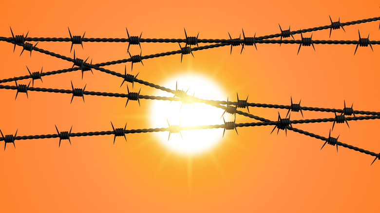 Sun behind barbed wire