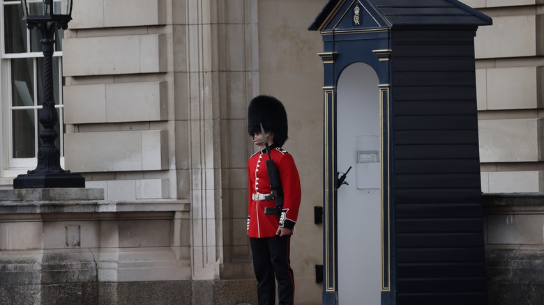 british military guard standing still