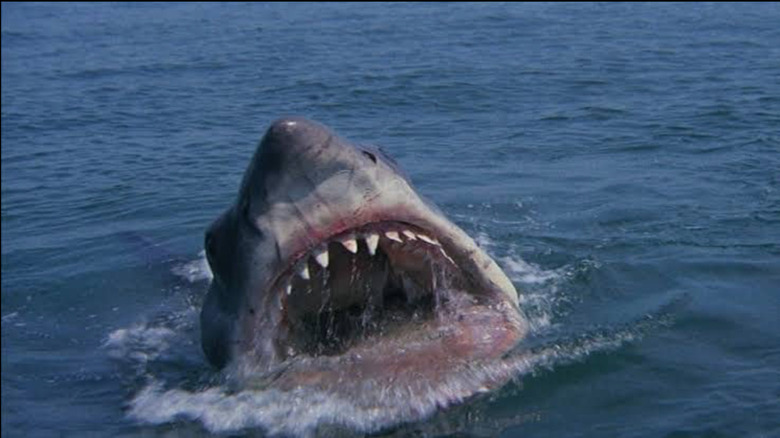 a mechanical shark from "Jaws"