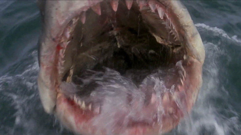 gaping maw of shark