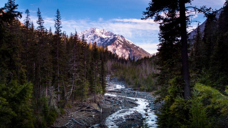 Sacagawea Peak