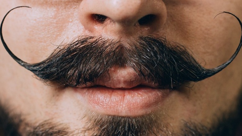 handlebar mustache