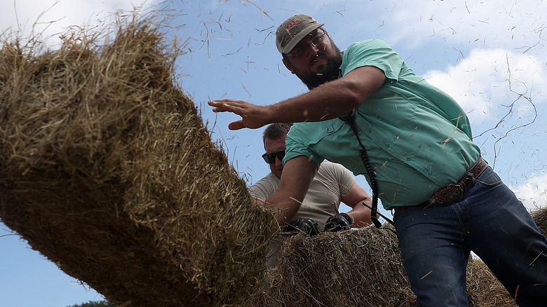 throwing bales of hay