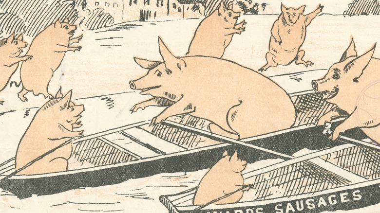 pigs rowing ad