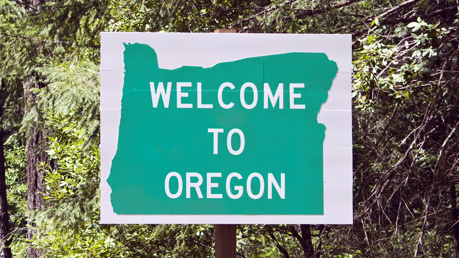 weirdest-laws-in-oregon-s-state-history