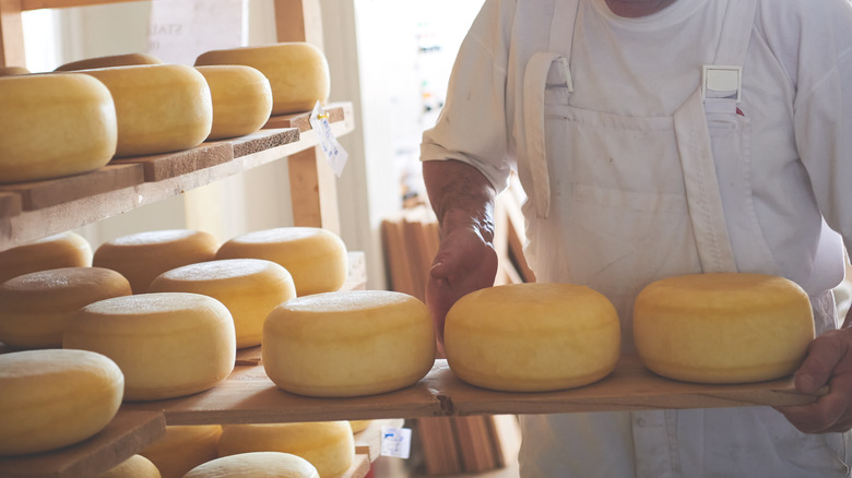 Factory worker in cheese factory