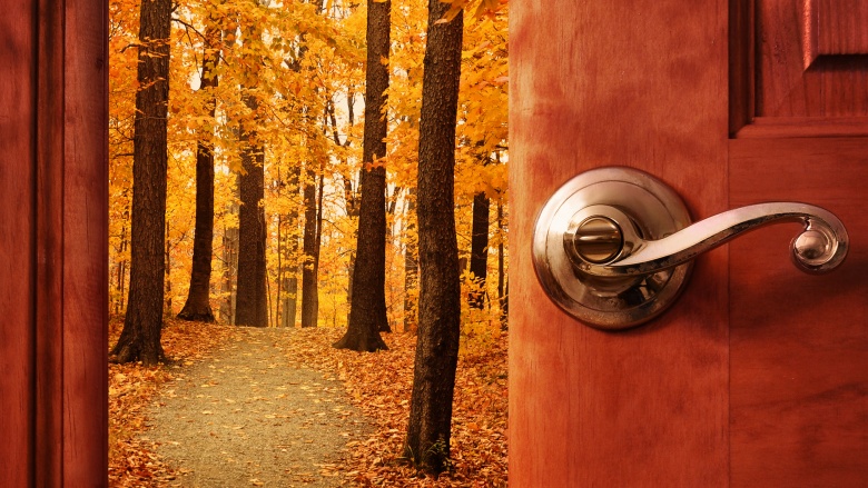 doorway into forest