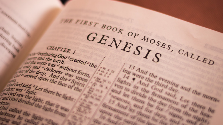 book of Genesis