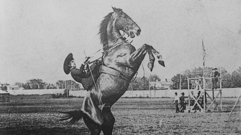 Young Emma Lake on a rearing horse