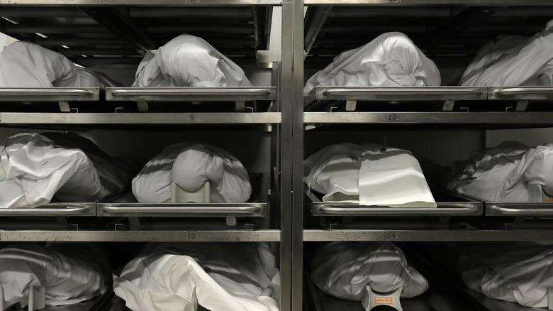 bodies at morgue