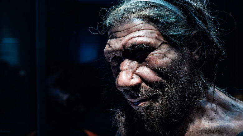 replica head of a Neanderthal man