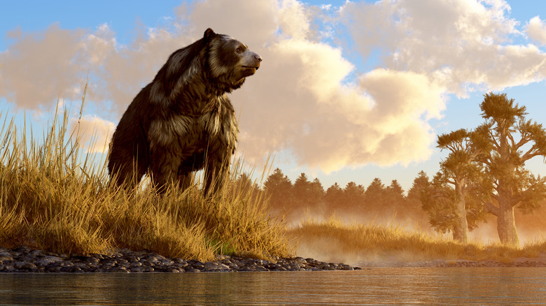 Cave bear looking over a lake illustration