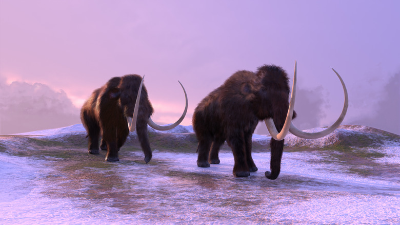 woolly mammoths walking frozen landscape