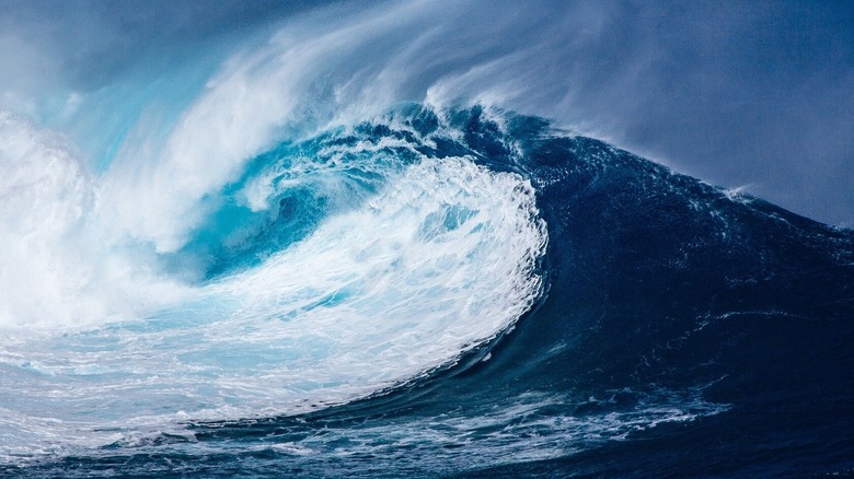 Large wave in ocean