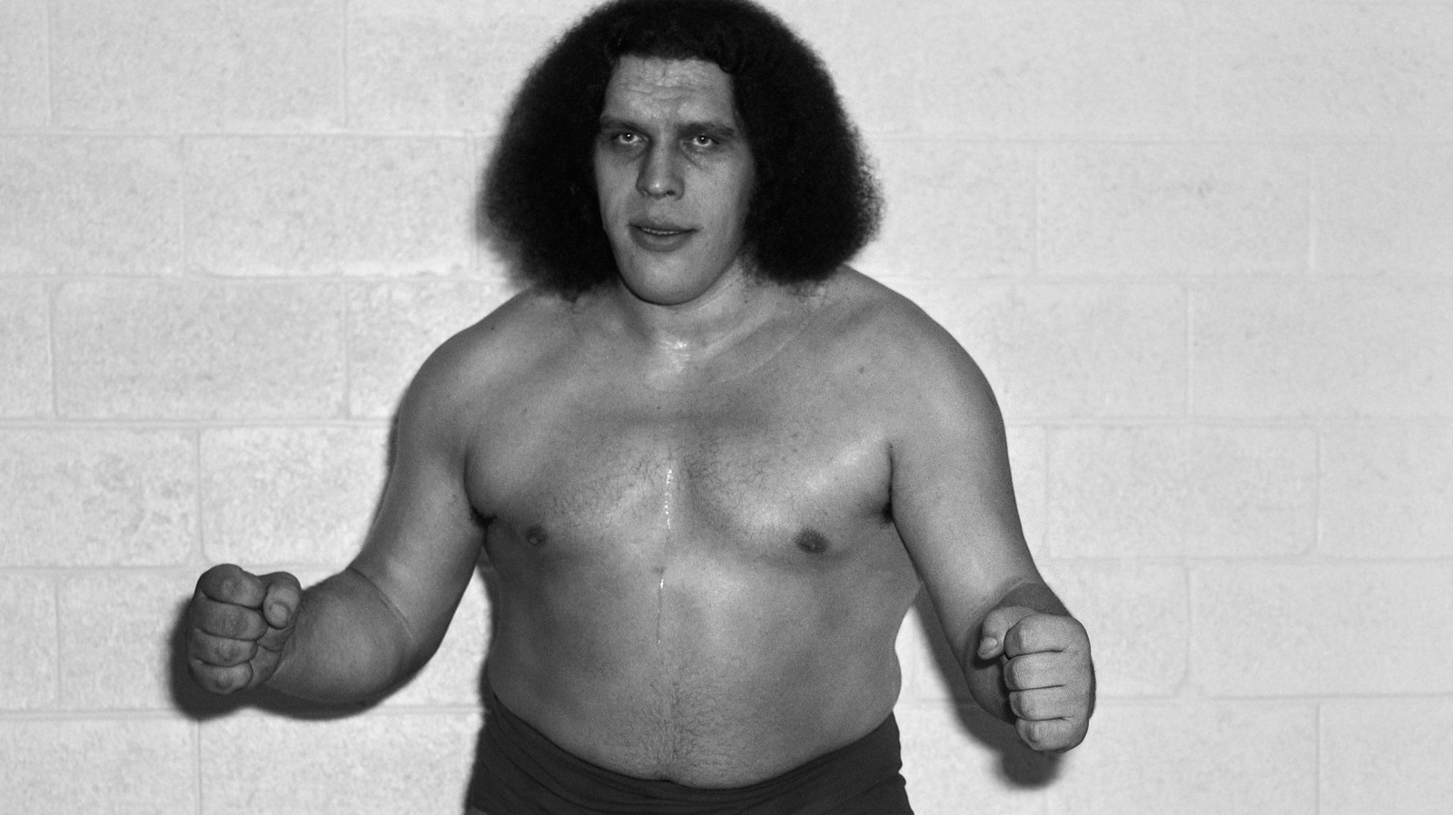Facts and Photos That Really Put Andre the Giant's Size Into Perspective |  The Vintage News