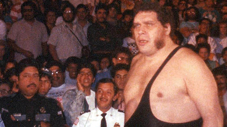 Andre the Giant looking serious