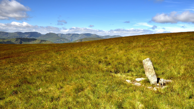 Bondary marker in English field