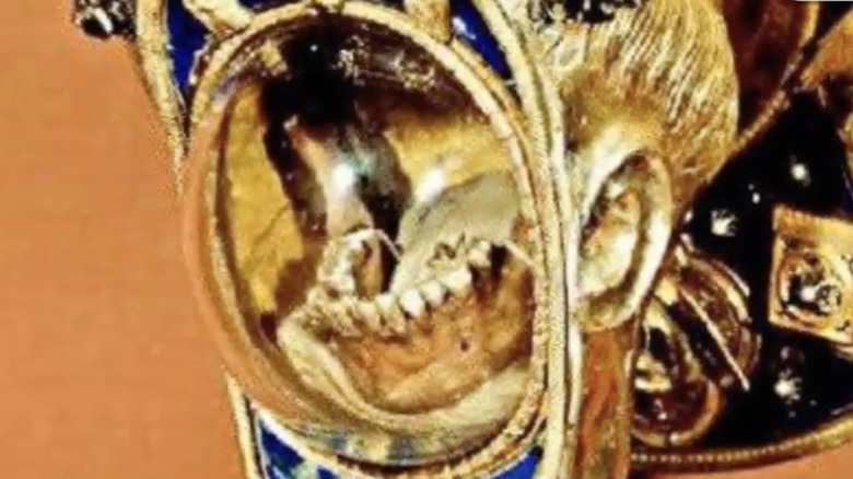 tongue and jaw of St. Anthony 