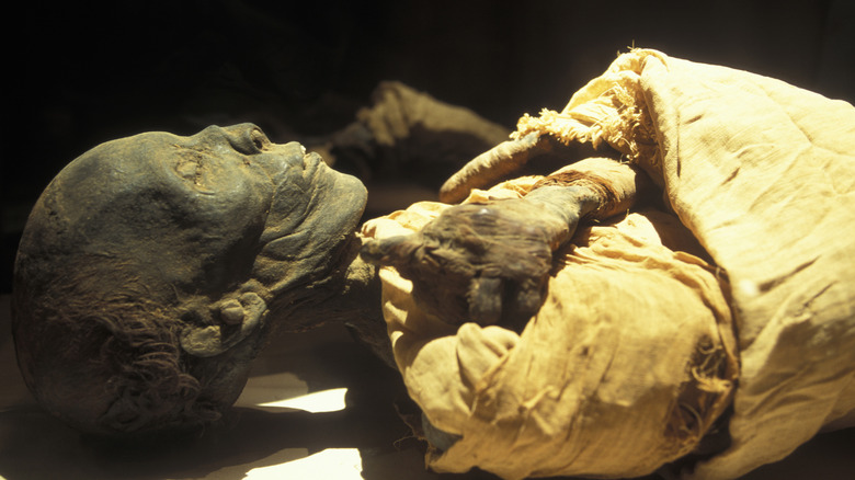 Royal mummy of Thutmosis IV