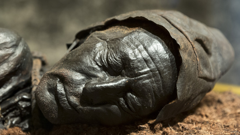 Ancient bronze statue of Tollund Man