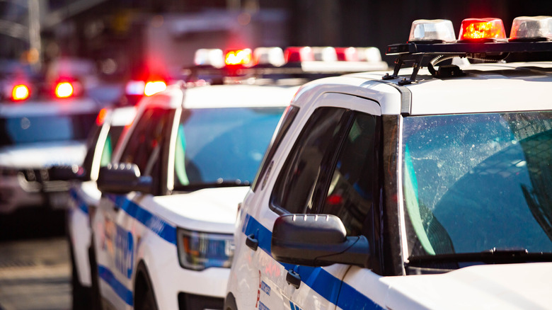 line of NYPD police cars