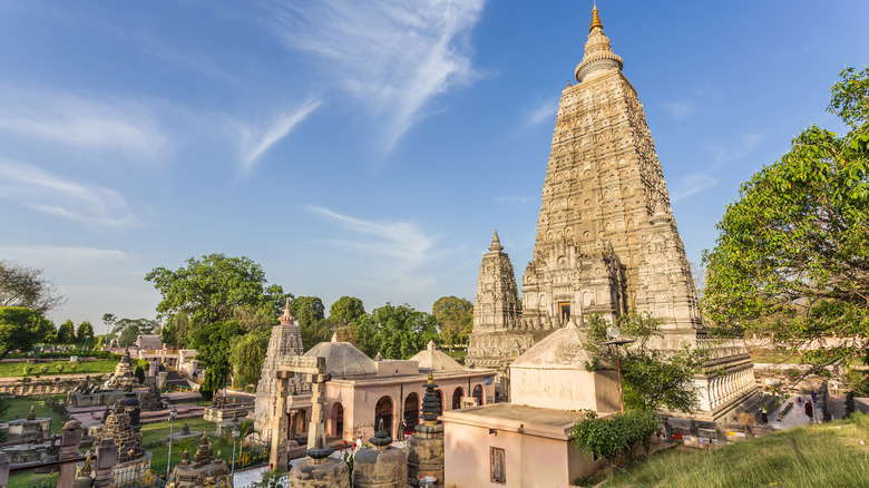 Bodhgaya trees