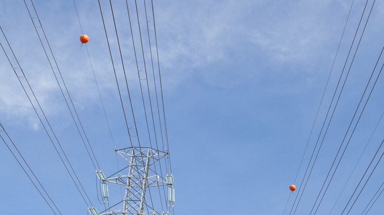 Power lines with orange balls