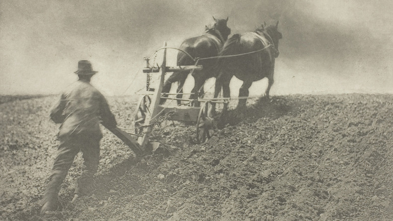 1880s era horse and plow