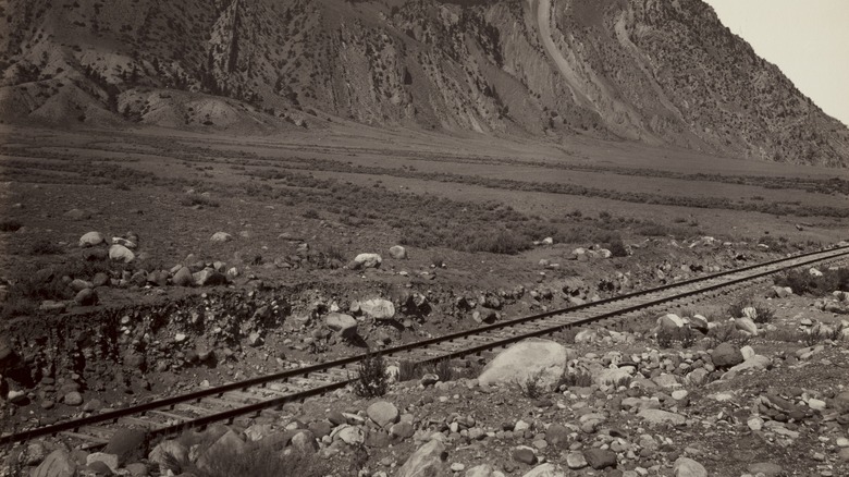 railway crossing a desolate landscape