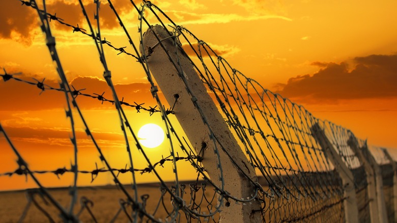 prison fence and setting sun 