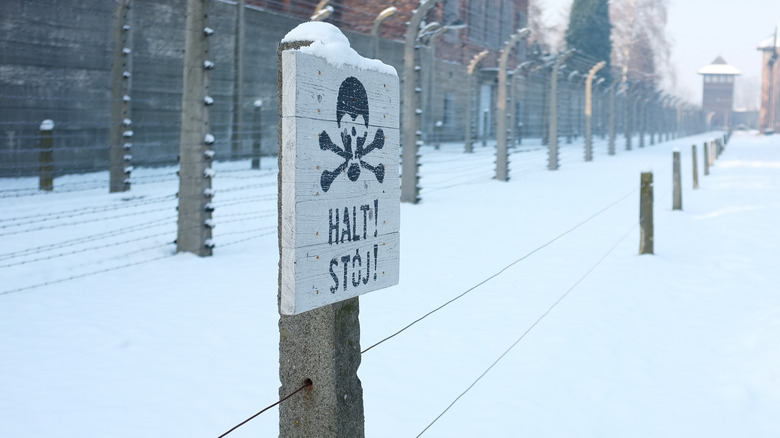 winter at auschwitz