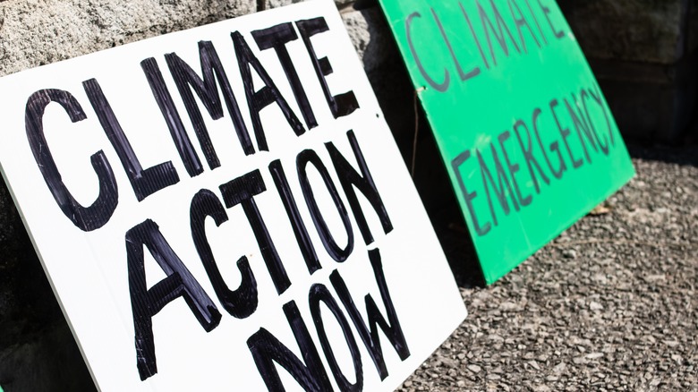 climate change protest signs